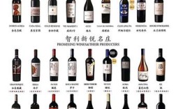 智利红酒有哪些品牌？日本vs智利首发名单