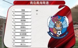 青岛黄海队员收入？2019青岛黄海球队名单
